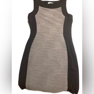 Calvin Klein Women’s Professional Textured Ribbed Modern Dress Size 10 NWOT